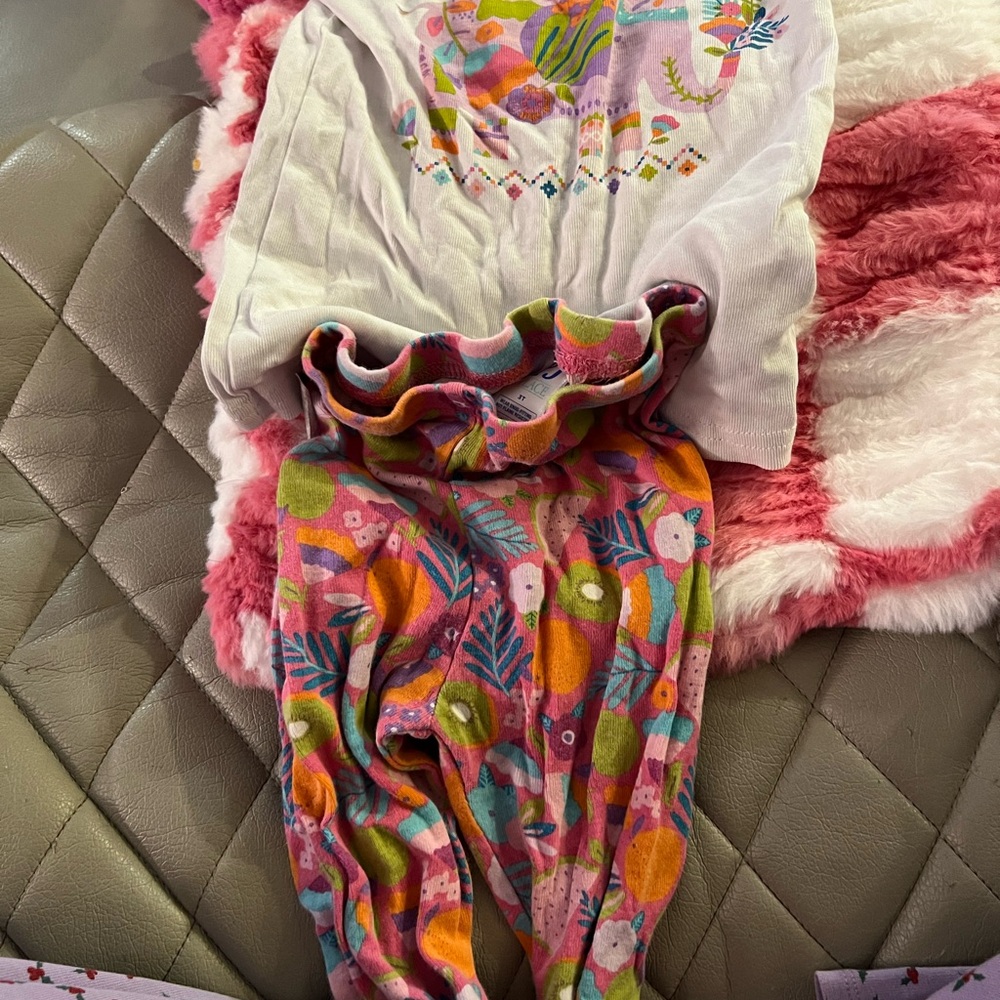 Place Multicolor Kids two Piece with Animal Design pajamas